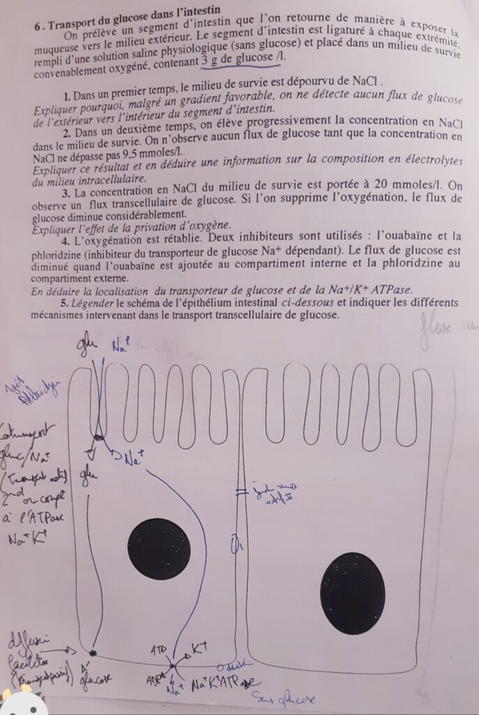 Pcem